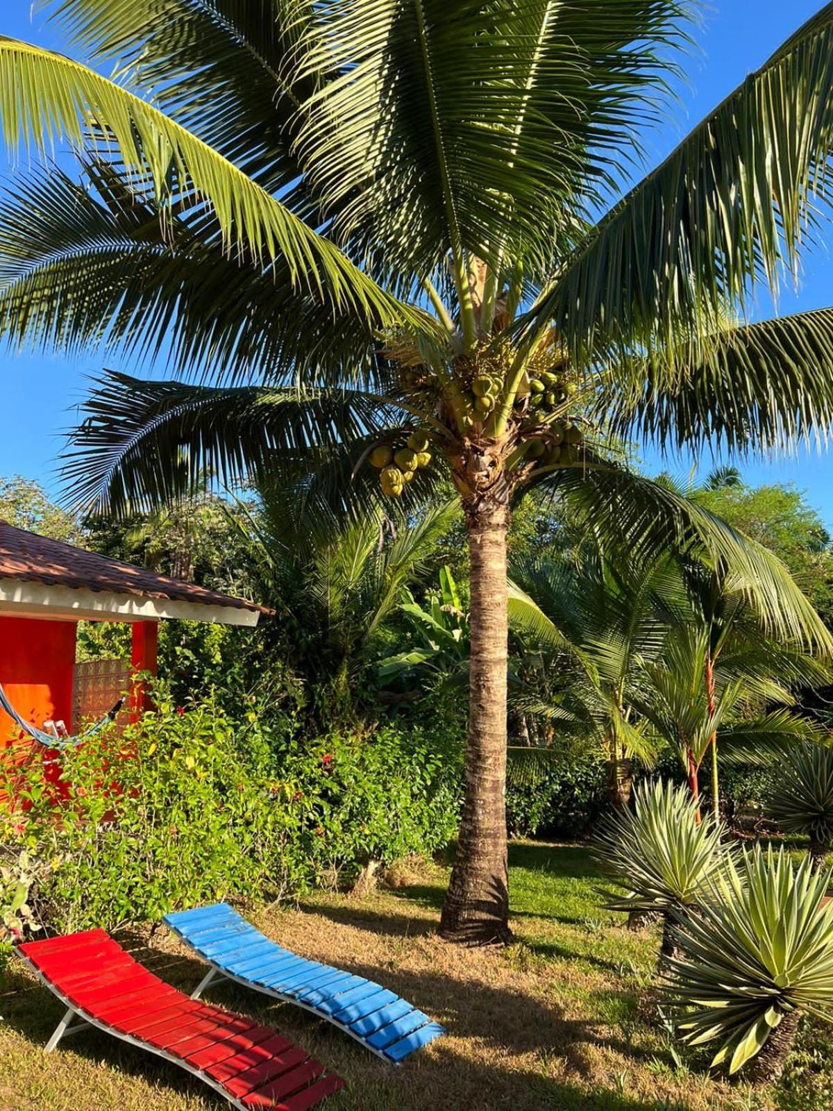 Bed & Breakfast Lajas